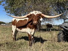 TOF Cut to the Point